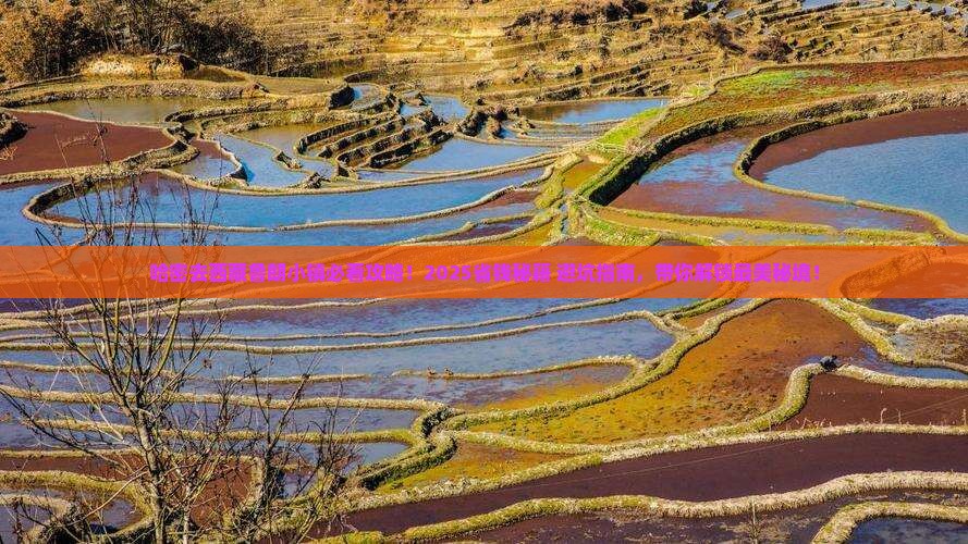 哈密去西藏鲁朗小镇必去地