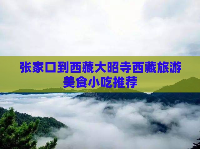 张家口到西藏大昭寺旅游小吃