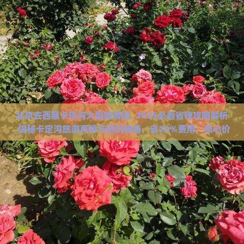 北京去西藏卡定沟大型旅游团