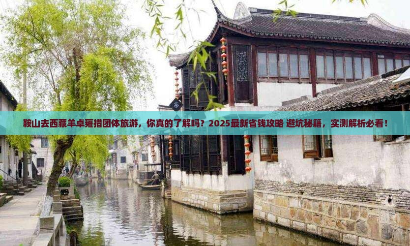 鞍山去西藏羊卓雍措团体旅游