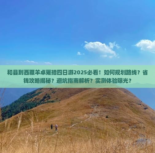 和县到西藏羊卓雍措四日游
