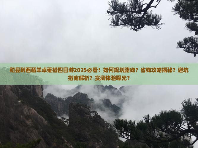 和县到西藏羊卓雍措四日游