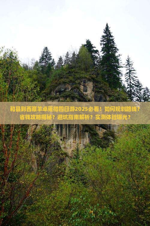和县到西藏羊卓雍措四日游