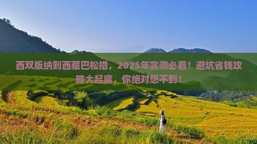 西双版纳去西藏巴松措旅游