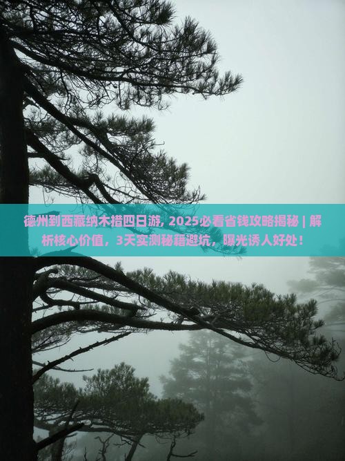 德州到西藏纳木措四日游