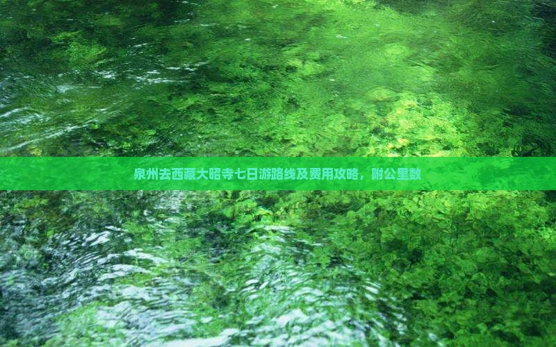 泉州去西藏大昭寺七日游