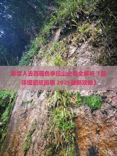 襄樊去西藏色季拉山必去地