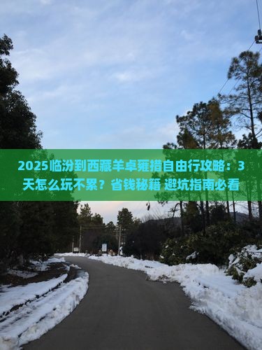 临汾到西藏羊卓雍措自由行