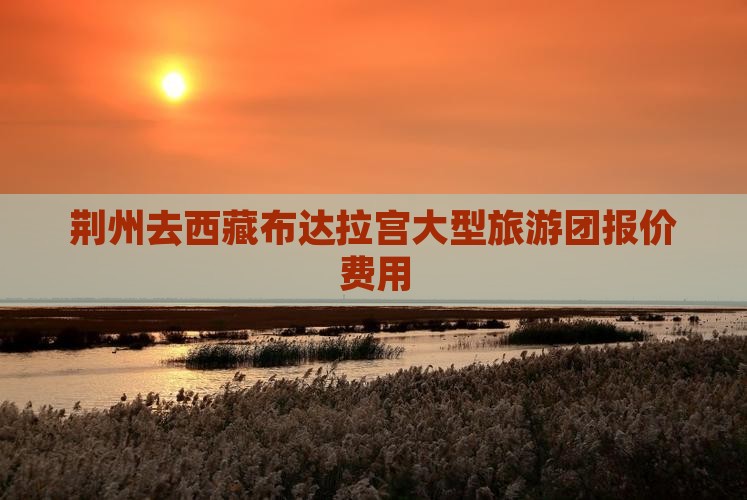 荆州去西藏布达拉宫大型旅游团