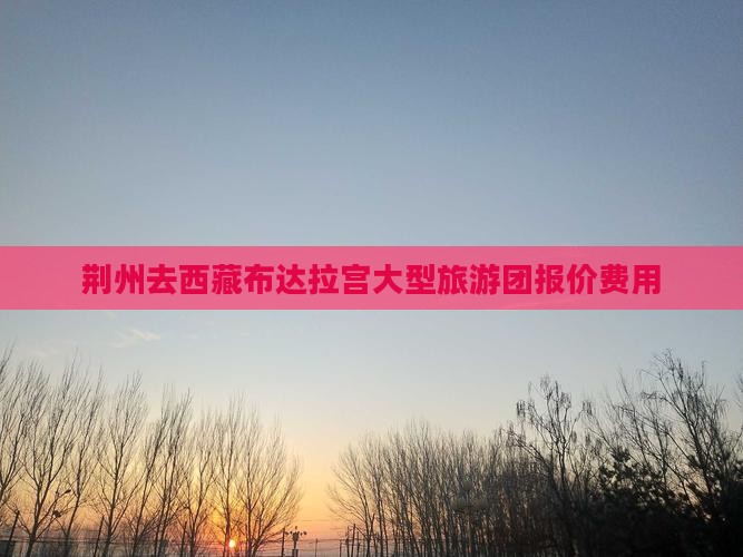 荆州去西藏布达拉宫大型旅游团