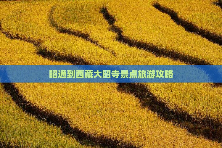 昭通到西藏大昭寺景点