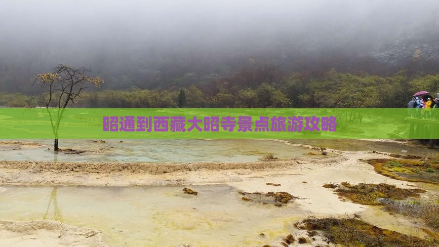 昭通到西藏大昭寺景点