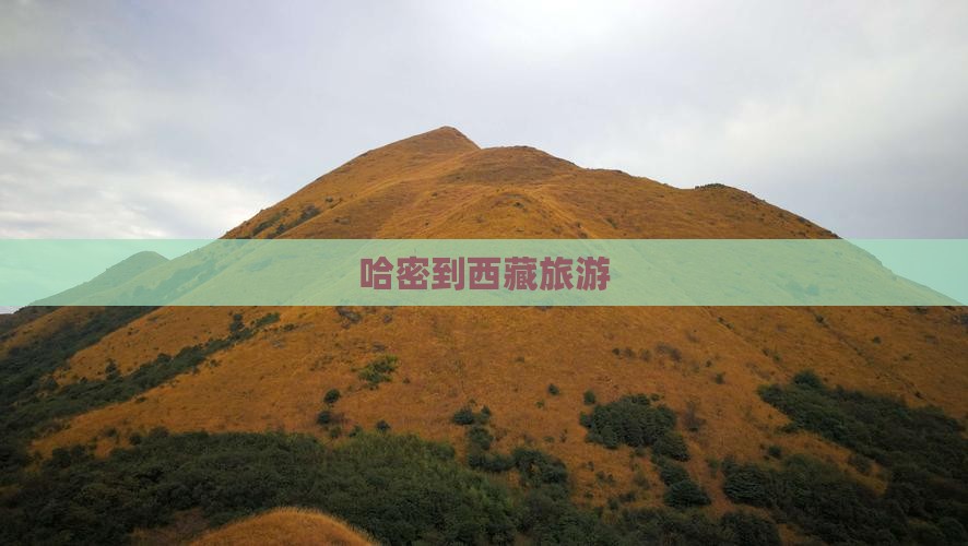哈密到西藏旅游
