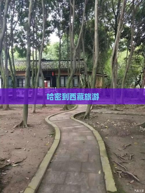 哈密到西藏旅游