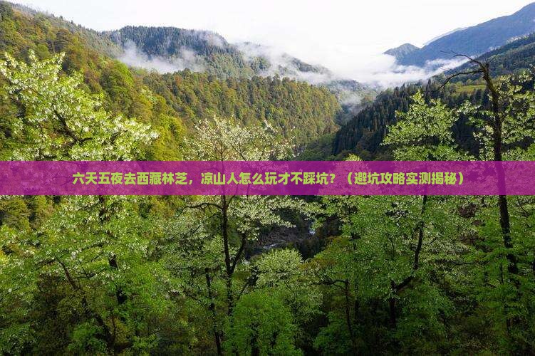 凉山去西藏林芝六日游
