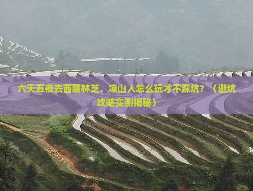凉山去西藏林芝六日游
