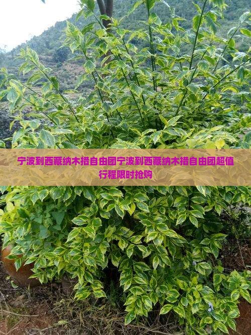 宁波到西藏纳木措自由团
