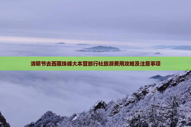 清明节去西藏珠峰大本营旅行社