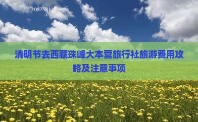 清明节去西藏珠峰大本营旅行社