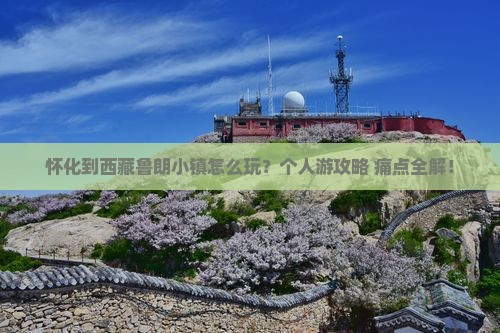 怀化到西藏鲁朗小镇个人游