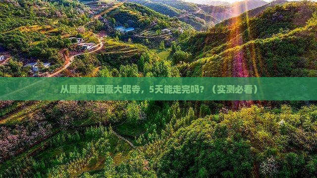 鹰潭去西藏大昭寺自由行