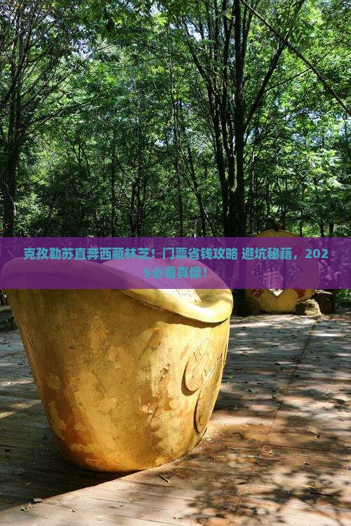 克孜勒苏到西藏林芝门票