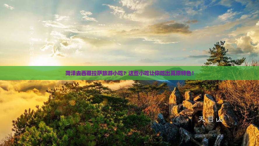 菏泽去西藏拉萨旅游小吃