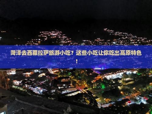 菏泽去西藏拉萨旅游小吃