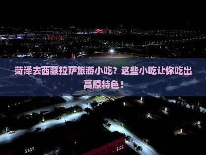 菏泽去西藏拉萨旅游小吃
