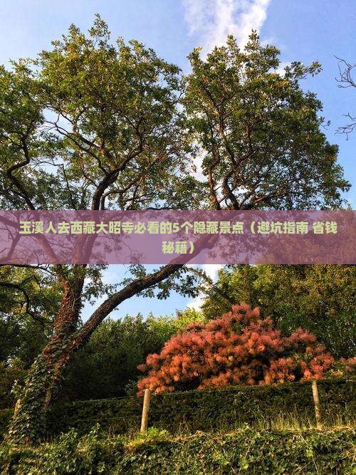 玉溪去西藏大昭寺必去地