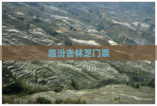 临汾去西藏林芝门票