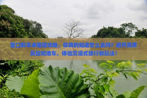 营口到西藏羊卓雍措攻略