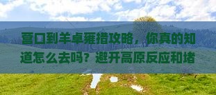 营口到西藏羊卓雍措攻略