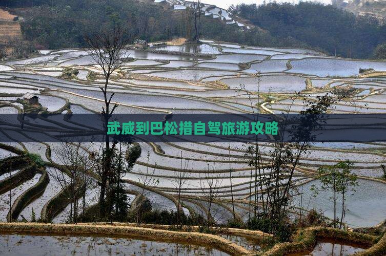 武威去西藏巴松措自由行