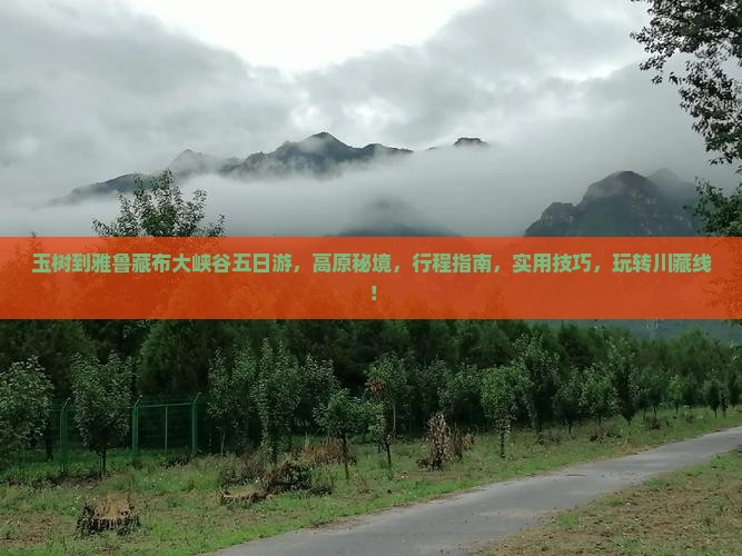 玉树到西藏雅鲁藏布大峡谷五日游