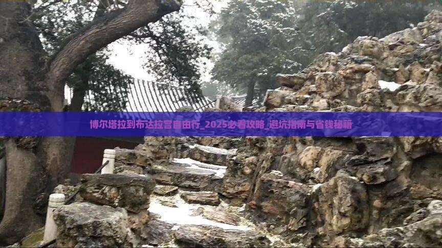 博尔塔拉到西藏布达拉宫自由行