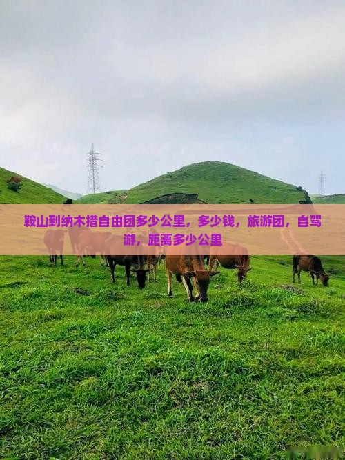 鞍山到西藏纳木措自由团