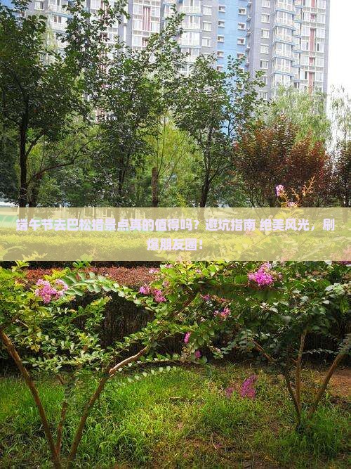 端午节到西藏巴松措景点