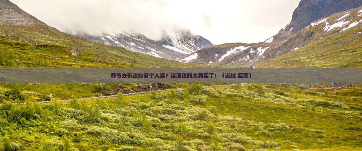 春节到西藏布达拉宫个人游