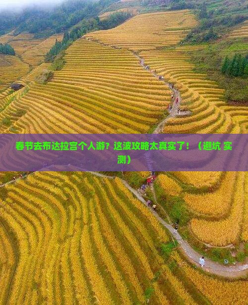 春节到西藏布达拉宫个人游
