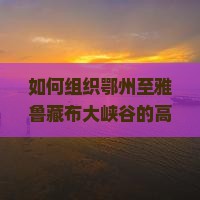 如何组织鄂州至雅鲁藏布大峡谷的高品质团体旅游，解决高原适应难题？