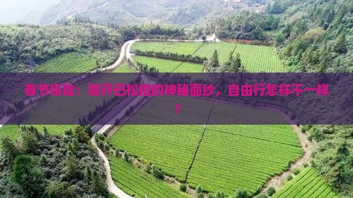 春节探险：揭开巴松措的神秘面纱，自由行怎样不一样？