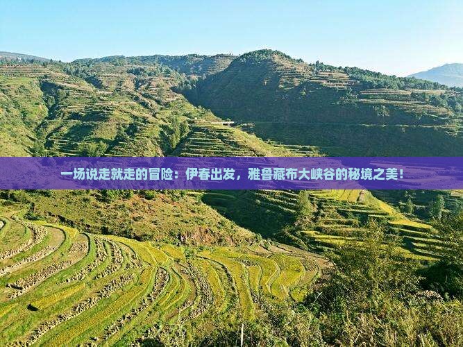 一场说走就走的冒险：伊春出发，雅鲁藏布大峡谷的秘境之美！