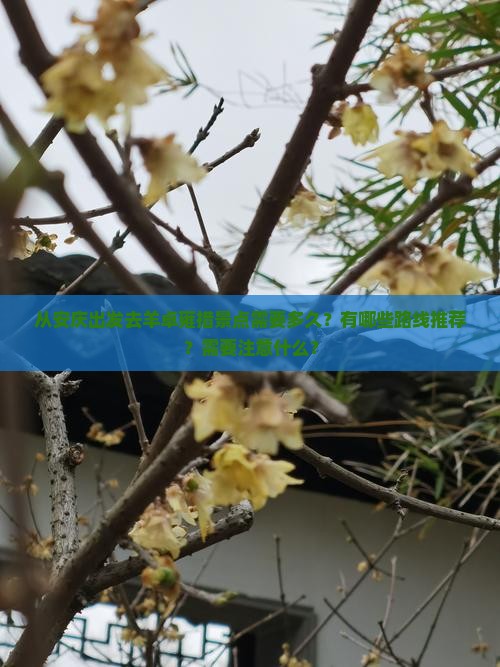 从安庆出发去羊卓雍措景点需要多久？有哪些路线推荐？需要注意什么？