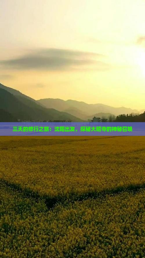 三天的修行之旅：沈阳出发，探秘大昭寺的神秘召唤