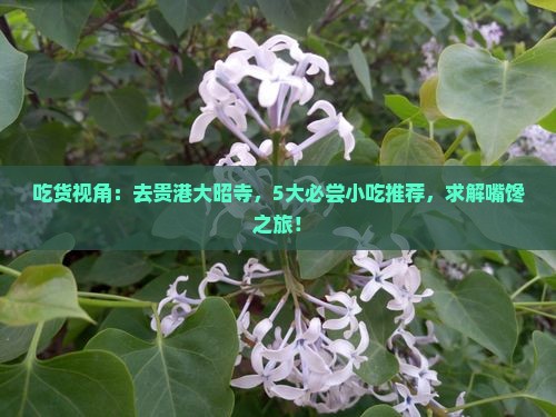 吃货视角：去贵港大昭寺，5大必尝小吃推荐，求解嘴馋之旅！