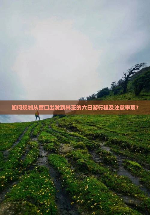 如何规划从营口出发到林芝的六日游行程及注意事项？