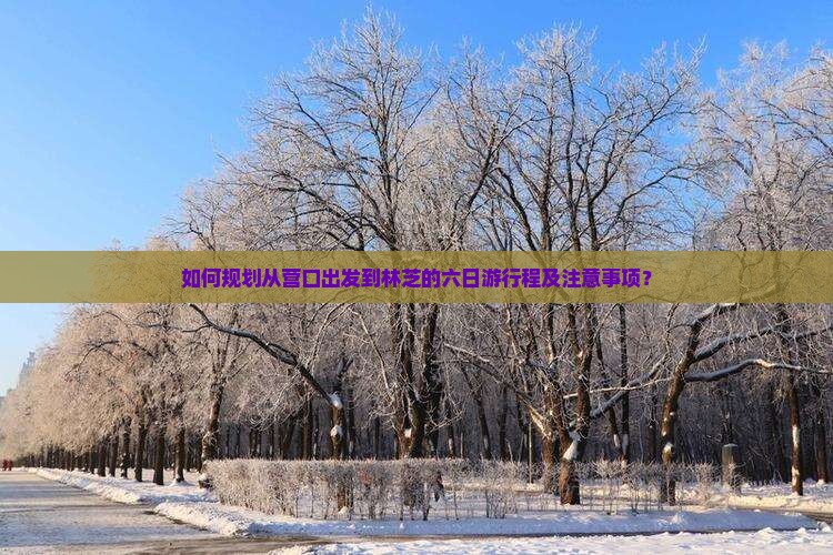 如何规划从营口出发到林芝的六日游行程及注意事项？