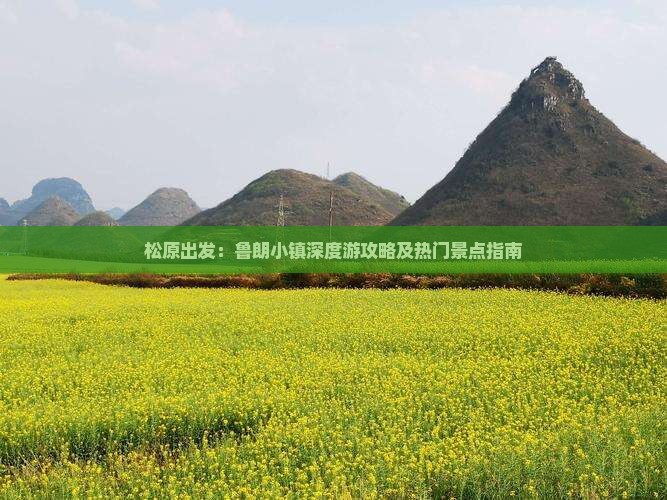 松原出发：鲁朗小镇深度游攻略及热门景点指南