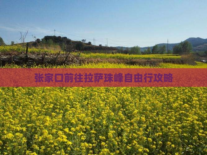 张家口前往拉萨珠峰自由行攻略